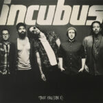 Incubus - Trust Fall (Side A) - Vinyl Record