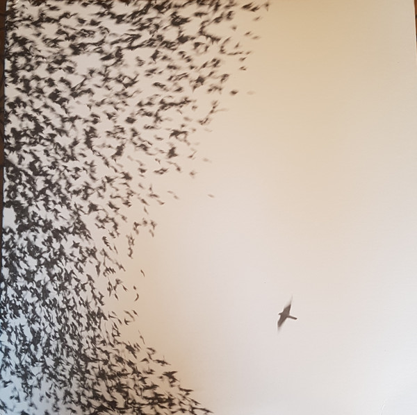 Wilco - Sky Blue Sky - Vinyl Record