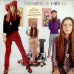 Redd Kross ‎– Third Eye