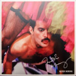 Freddie Mercury – Never Boring