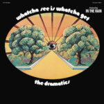 The Dramatics – Whatcha See Is Whatcha Get