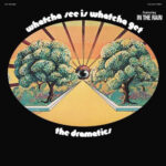 The Dramatics - Whatcha See is Whatcha Get - Vinyl Record
