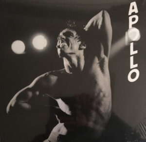 Iggy Pop – Apollo