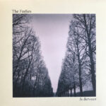 The Feelies - In Between - Vinyl Record