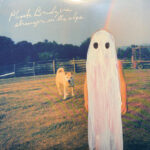 Phoebe Bridgers - Stranger In The Alps - Vinyl Record