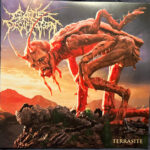 Cattle Decapitation - Terrasite
