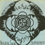 Natural Cause / Blatherskite - Split - 7 Inch Vinyl Record
