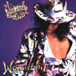 Rick James - Wonderful