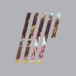 Steven Wilson – 4½