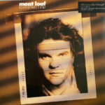 Meat Loaf – Blind Before I Stop
