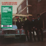 Flamin' Groovies – Shake Some Action