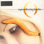 A Perfect Circle – Thirteenth Step