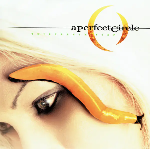 A Perfect Circle – Thirteenth Step
