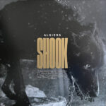 Algiers - Shook - Double Gold Vinyl Record