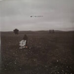 nf – The Search