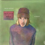 David Sylvian – Blemish