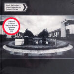 Noel Gallagher's High Flying Birds - Council Skies