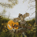 The Dandy Warhols – This Machine