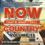 Various – Now That's What I Call Country Volume 11