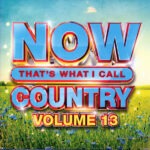 Various – Now That's What I Call Country Volume 13