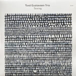 Tord Gustavsen Trio – Seeing