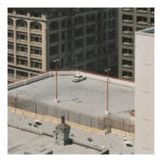 Arctic Monkeys – The Car - Custard