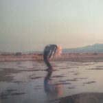 Phoebe Bridgers & Rob Moose – Copycat Killer
