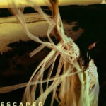 Sarah Kinsley – Escaper