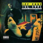 Ice Cube – Death Certificate – Vinyl Record