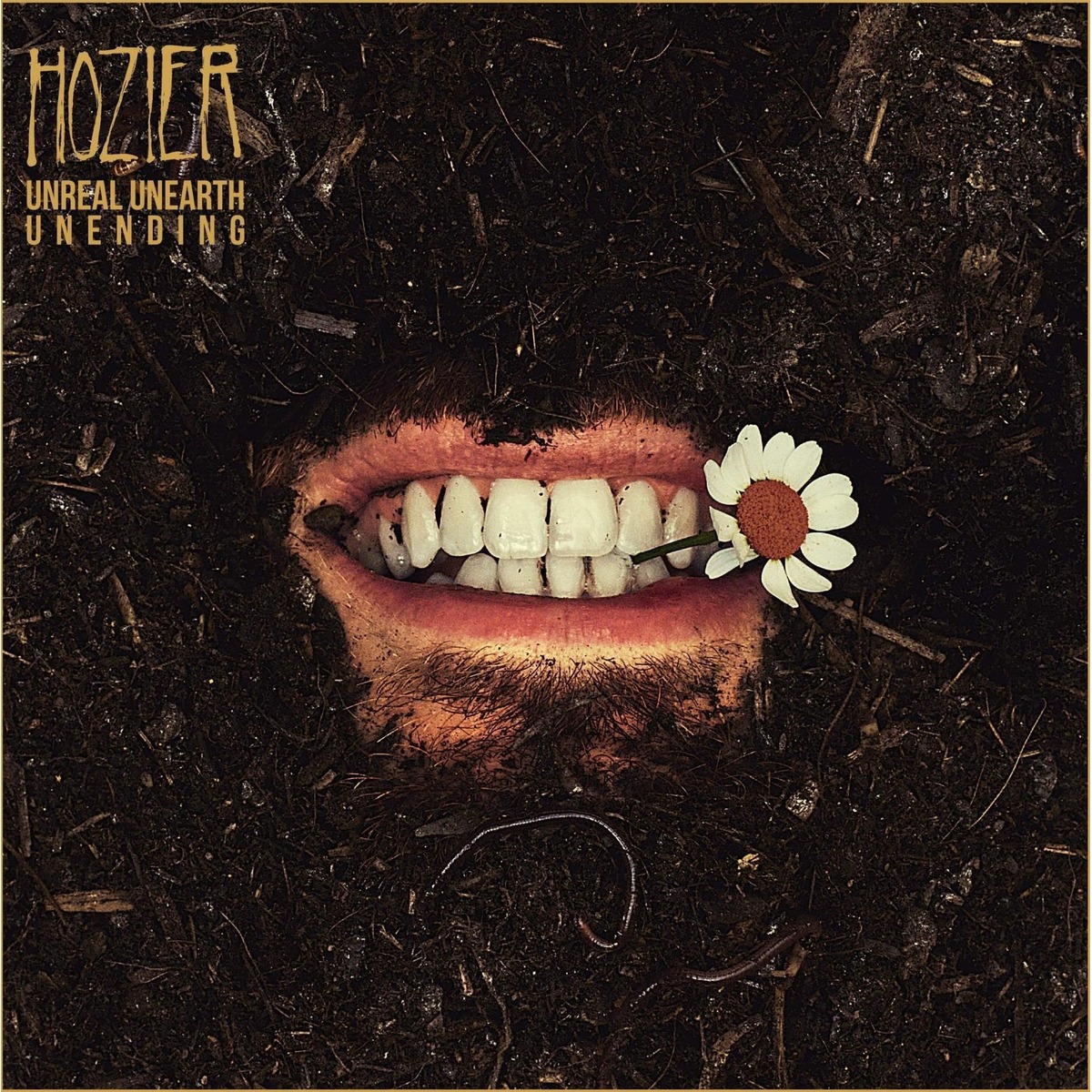 Hozier - Unreal Unearth Unending - Deluxe Vinyl Record