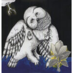 Songs: Ohia - Magnolia Electric Company Co - Vinyl Record