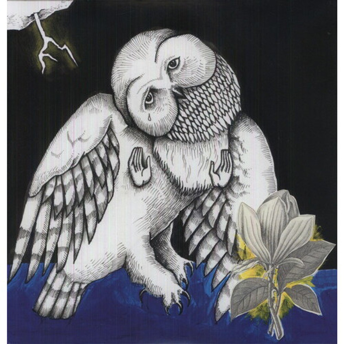 Songs: Ohia - Magnolia Electric Company Co - Vinyl Record