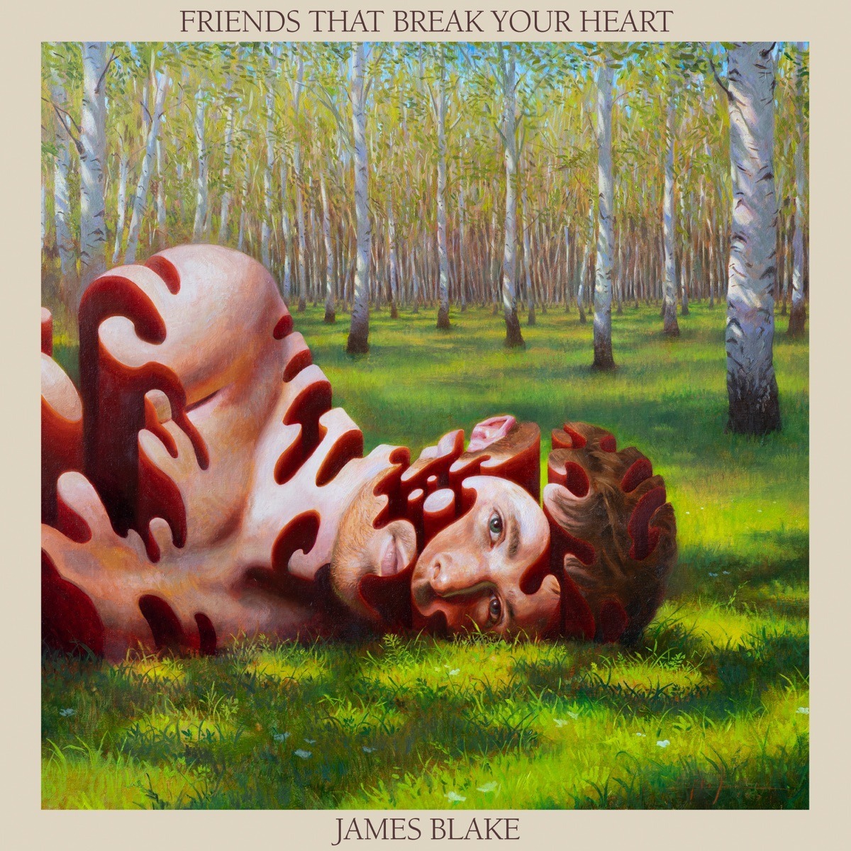 James Blake – Friends That Break Your Heart – Vinyl Record