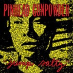 Pinhead Gunpowder – Jump Salty – Translucent Gold Vinyl Record